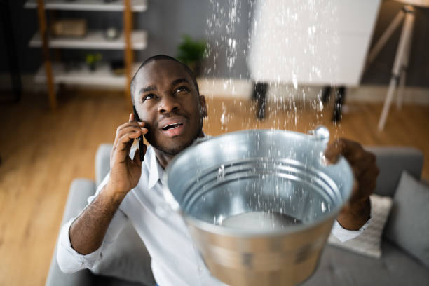 Best Carpet water damage restoration  in Winfield, WV