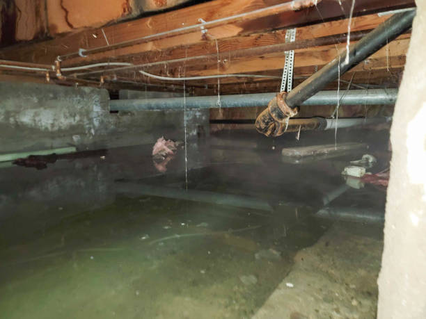 Best Emergency water damage restoration  in Winfield, WV
