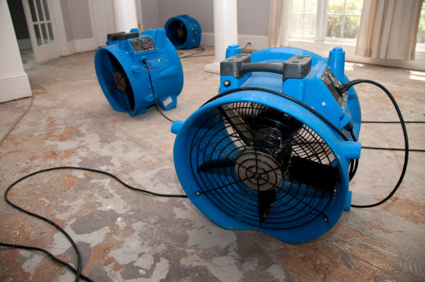 Best Water damage contractors near me  in Winfield, WV