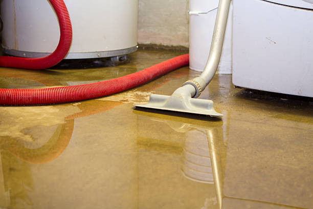 Best Ceiling water damage repair  in Winfield, WV